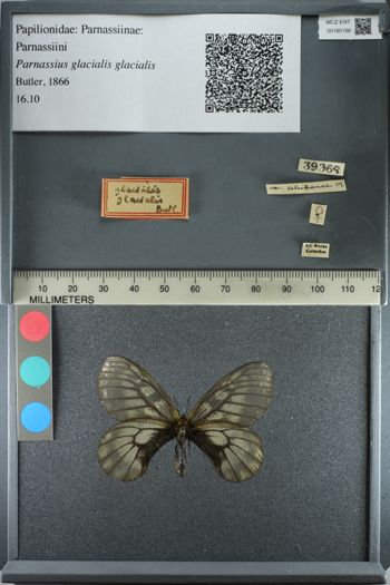 Media type: image;   Entomology 180198